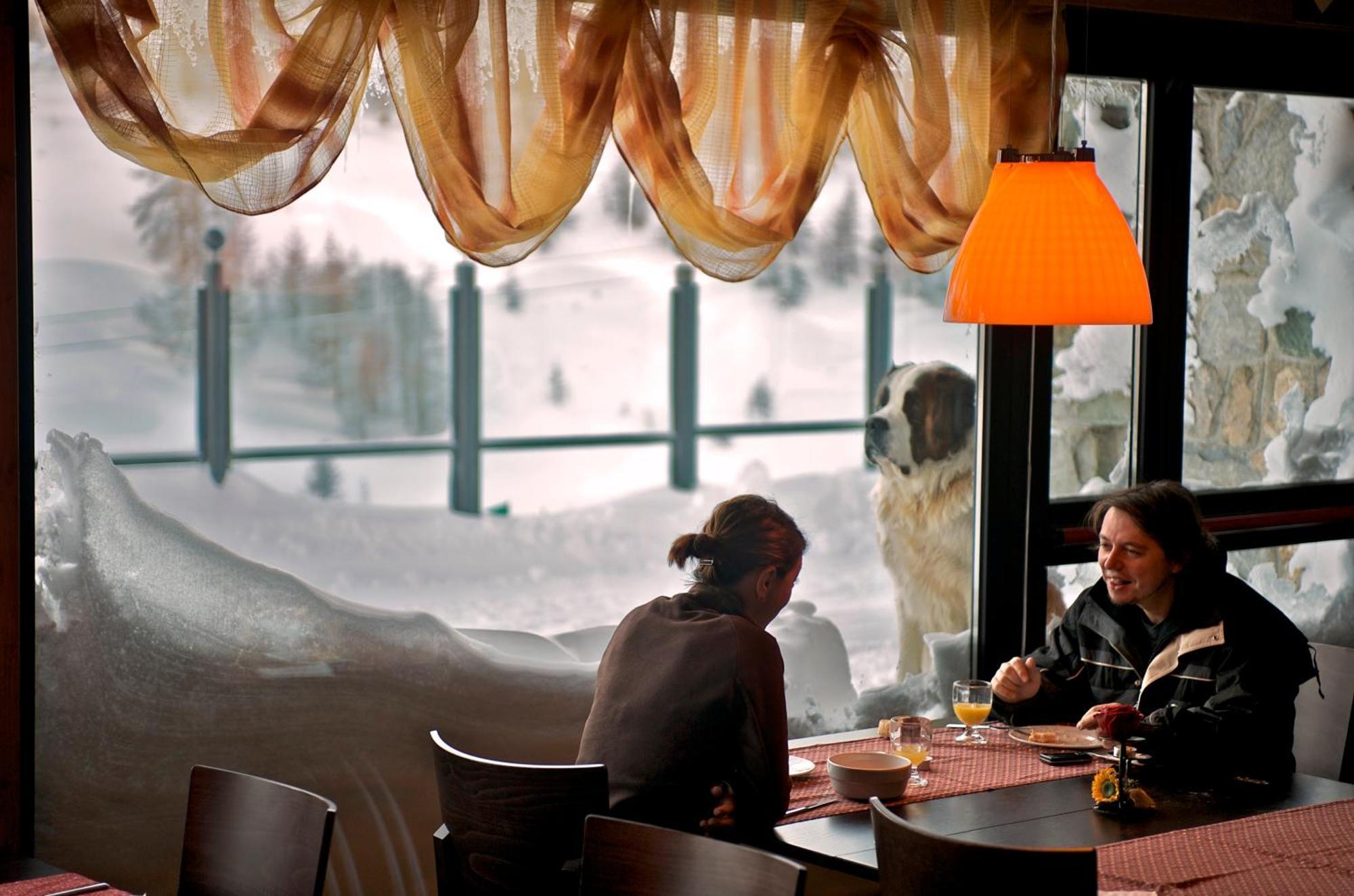 Re Delle Alpi Resort & Spa, 4 Stelle Superior La Thuile Dış mekan fotoğraf